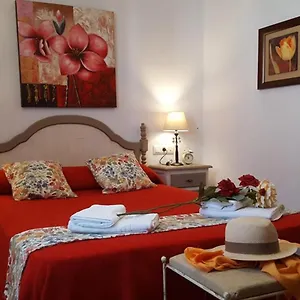 Adelfas Chaparrillo Chalet Conil De La Frontera